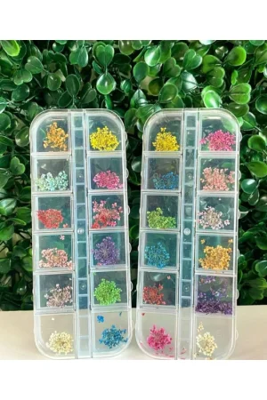 Flor Seca 12 unidades